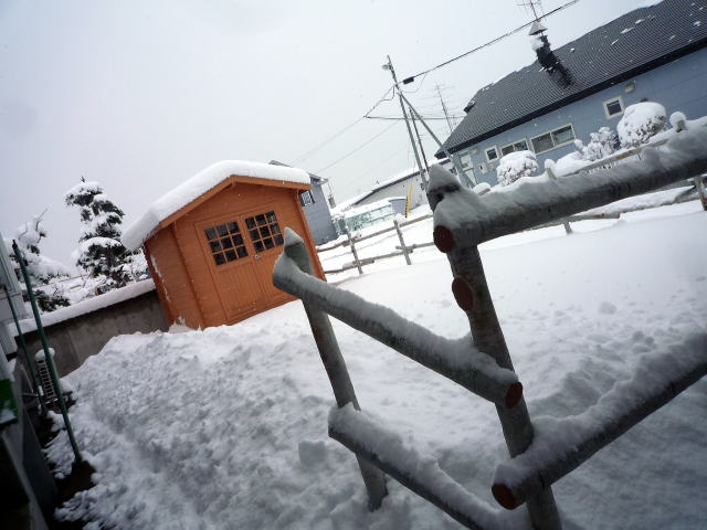 願い続ければ適うんです。