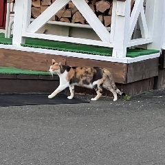 コミュ力おばけ、、、
