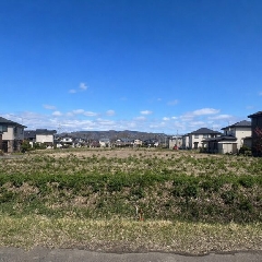 目詰まり、つまり、つまりは社長。。