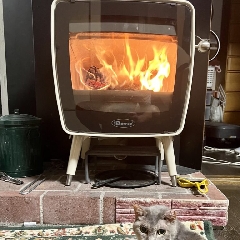 AI時代の暇の使い方。。。